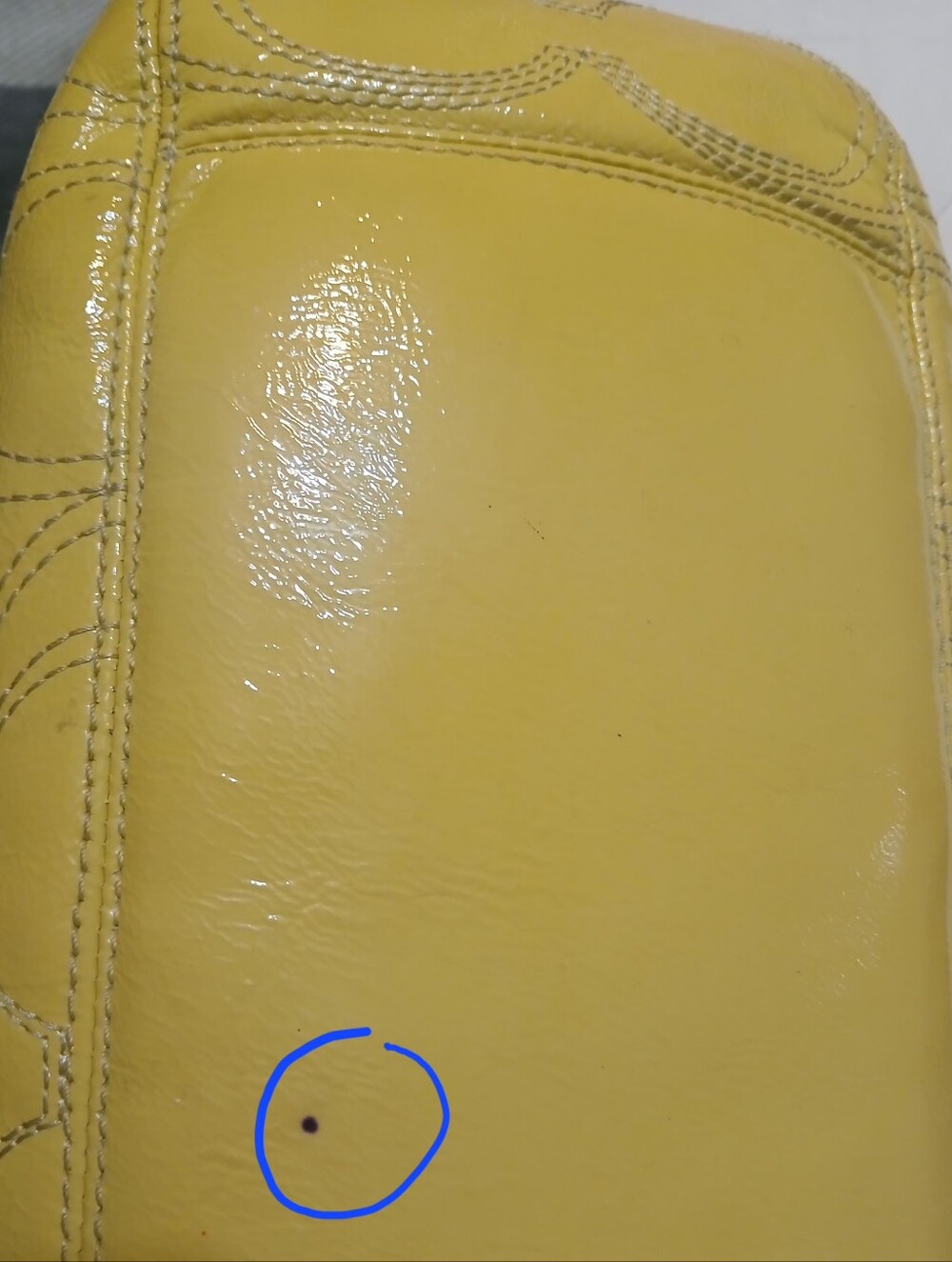 Coach - Picture 6 of 13